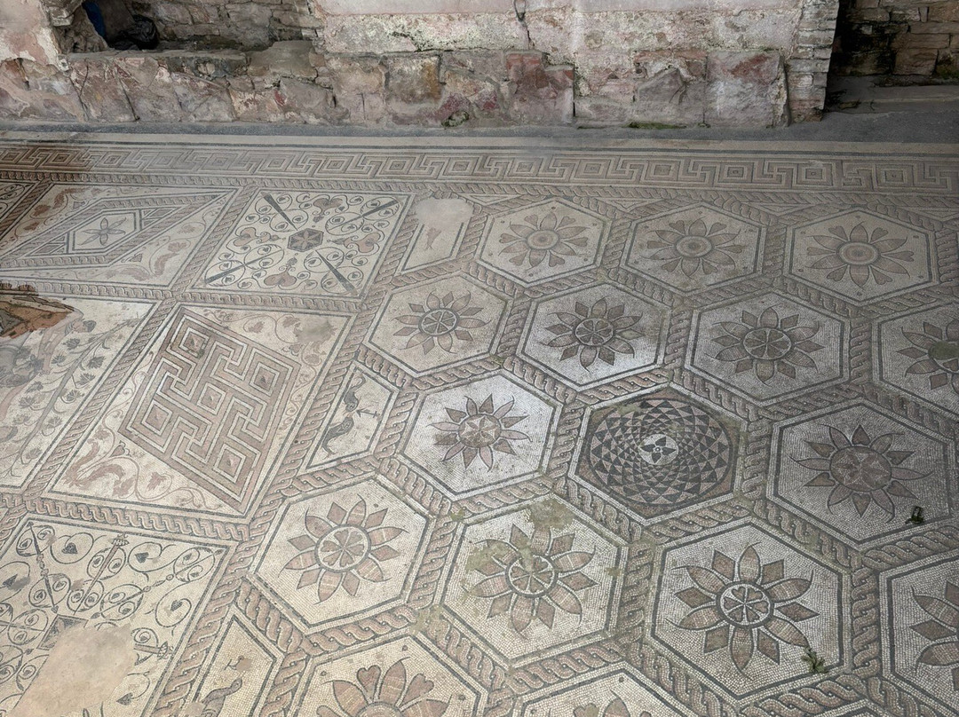 Floor mosaic The Punishment of Dirce-普拉必去景点