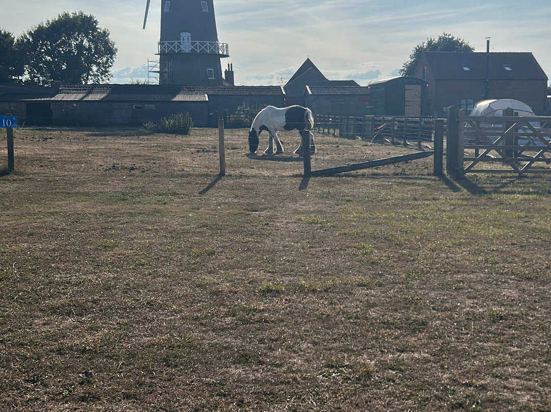 Bircham Windmill-Great Bircham必去景点