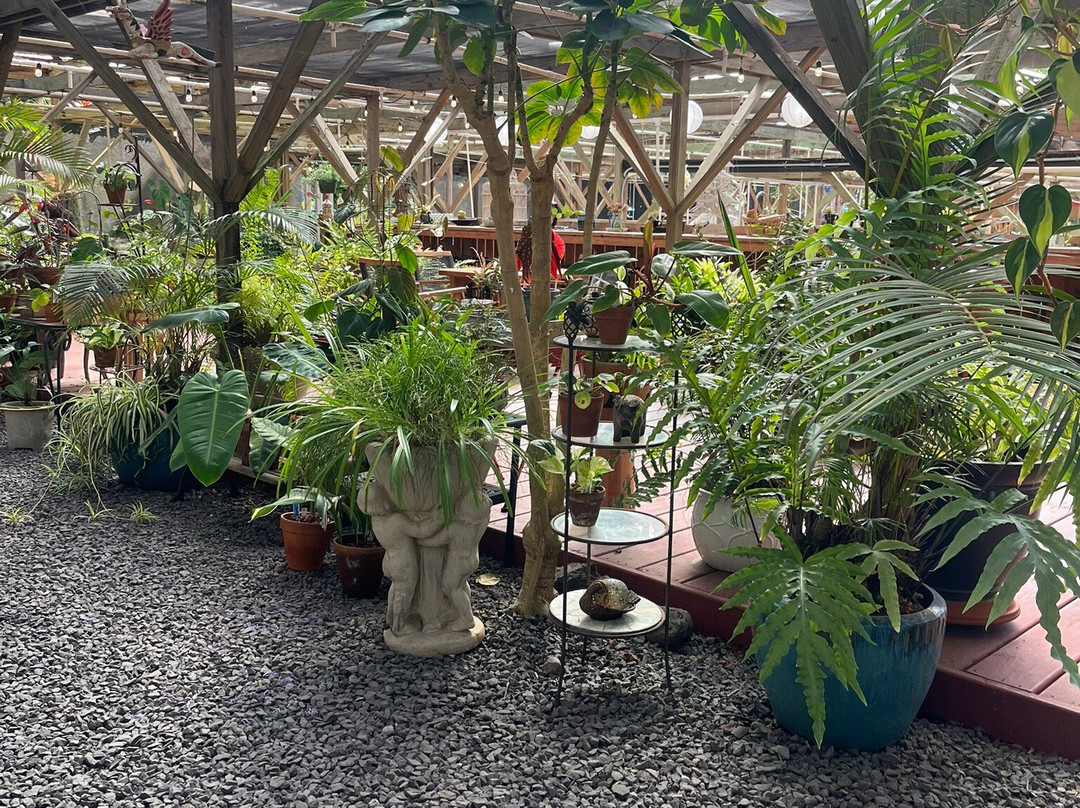 The Sacred Garden of Maliko-马卡瓦必去景点