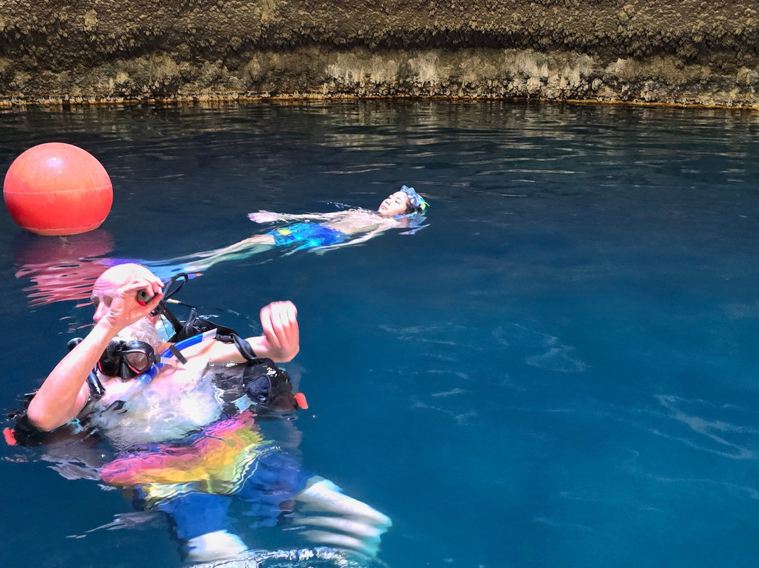 The Homestead Crater-Midway必去景点