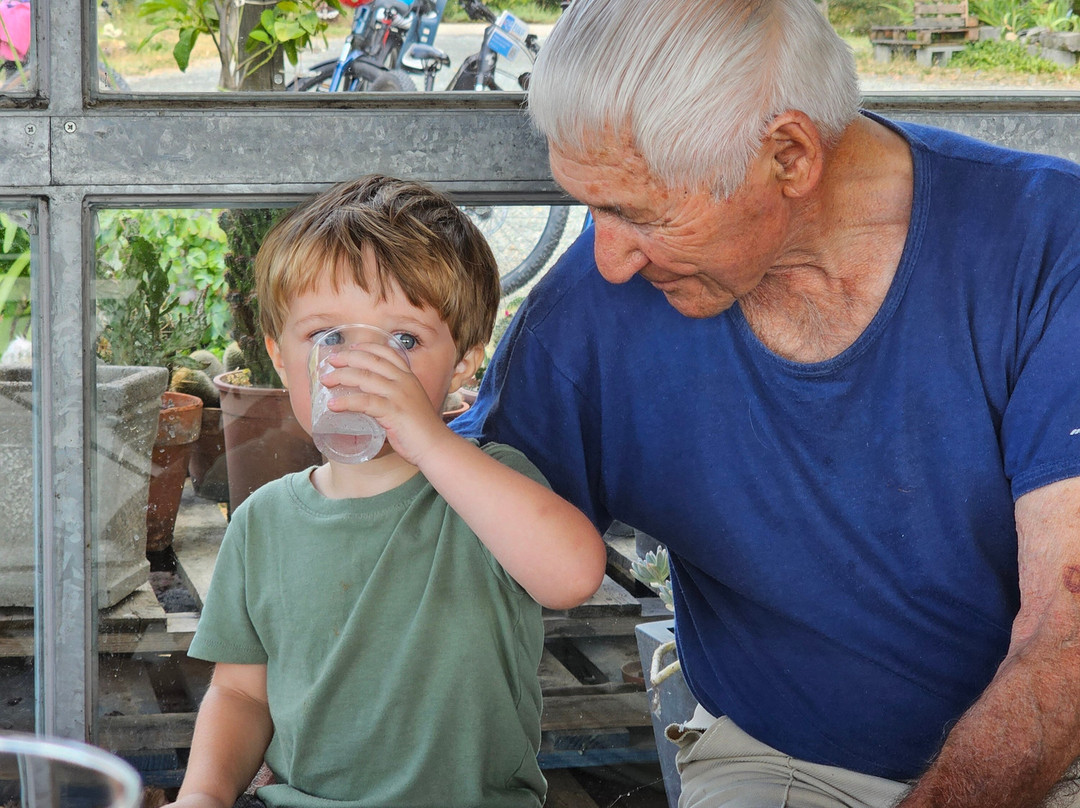 Erede di Chiappone Armando-Nizza Monferrato必去景点