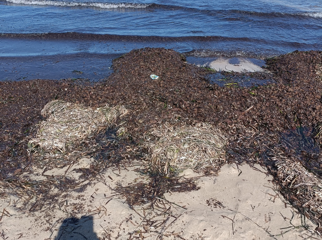 Playa de Levante o la Fossa-卡尔佩必去景点