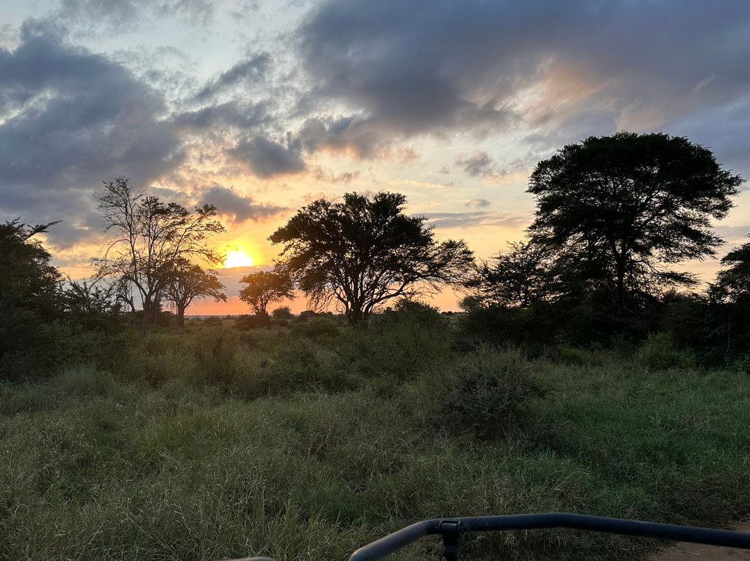 Tsavo East National Park-查佛必去景点