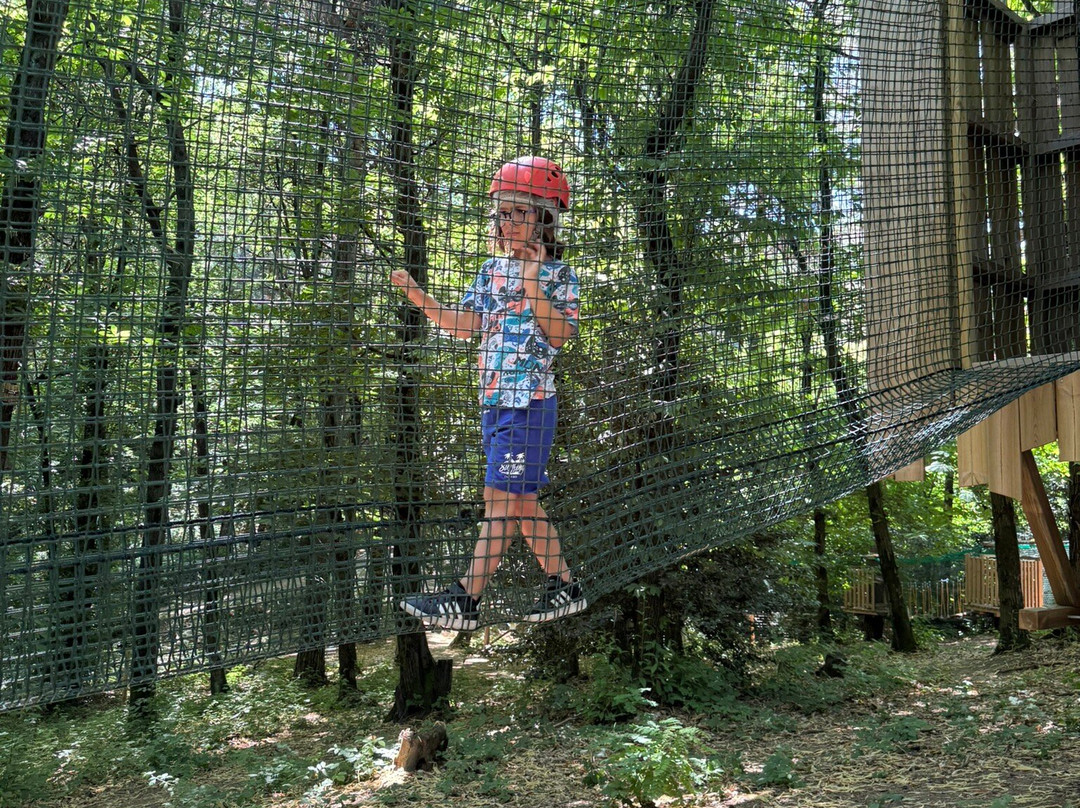 Wonderwood Spina Verde-Colverde必去景点