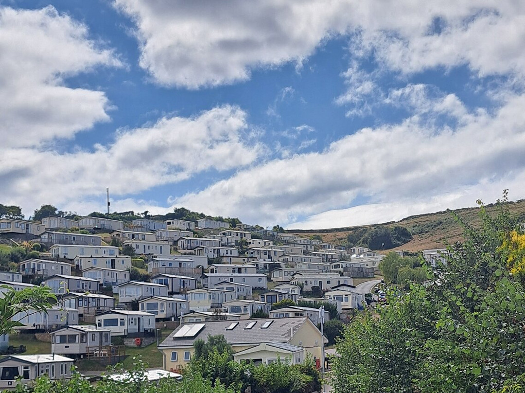 Belmont House Beer主图