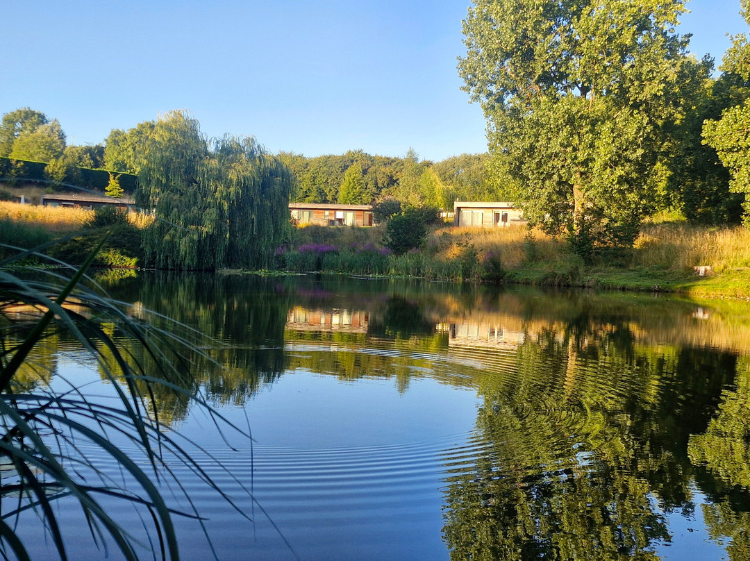 West Pitt Farm Fishery-蒂弗顿必去景点