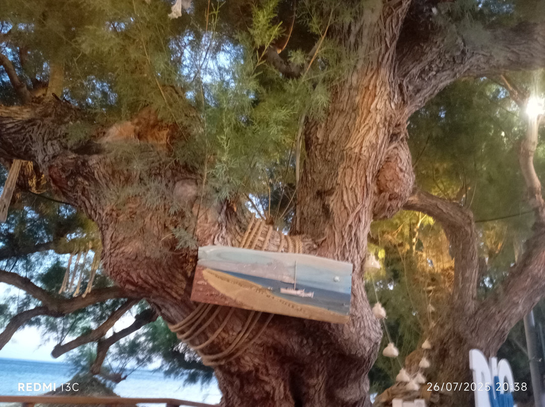 Big Blue Beach Bar & Apartments