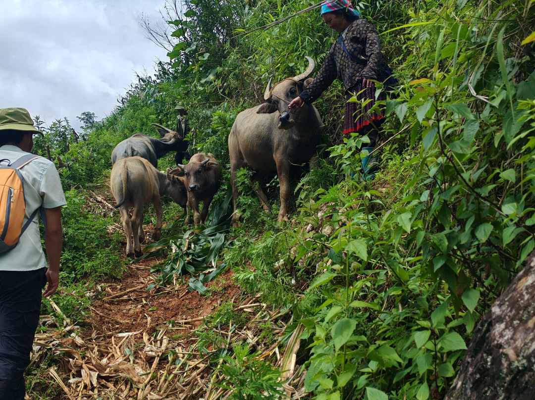 Indigenous Adventure-Mu Cang Chai必去景点