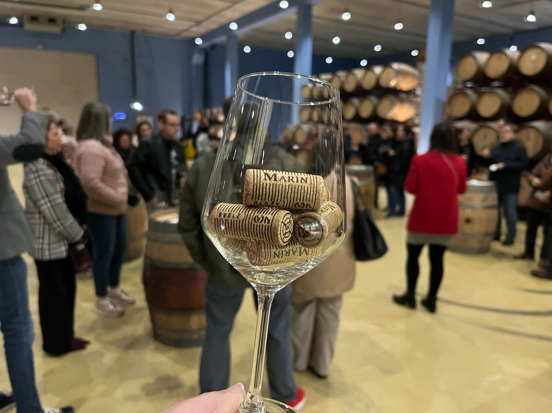 Bodegas Ignacio Marin-Carinena必去景点