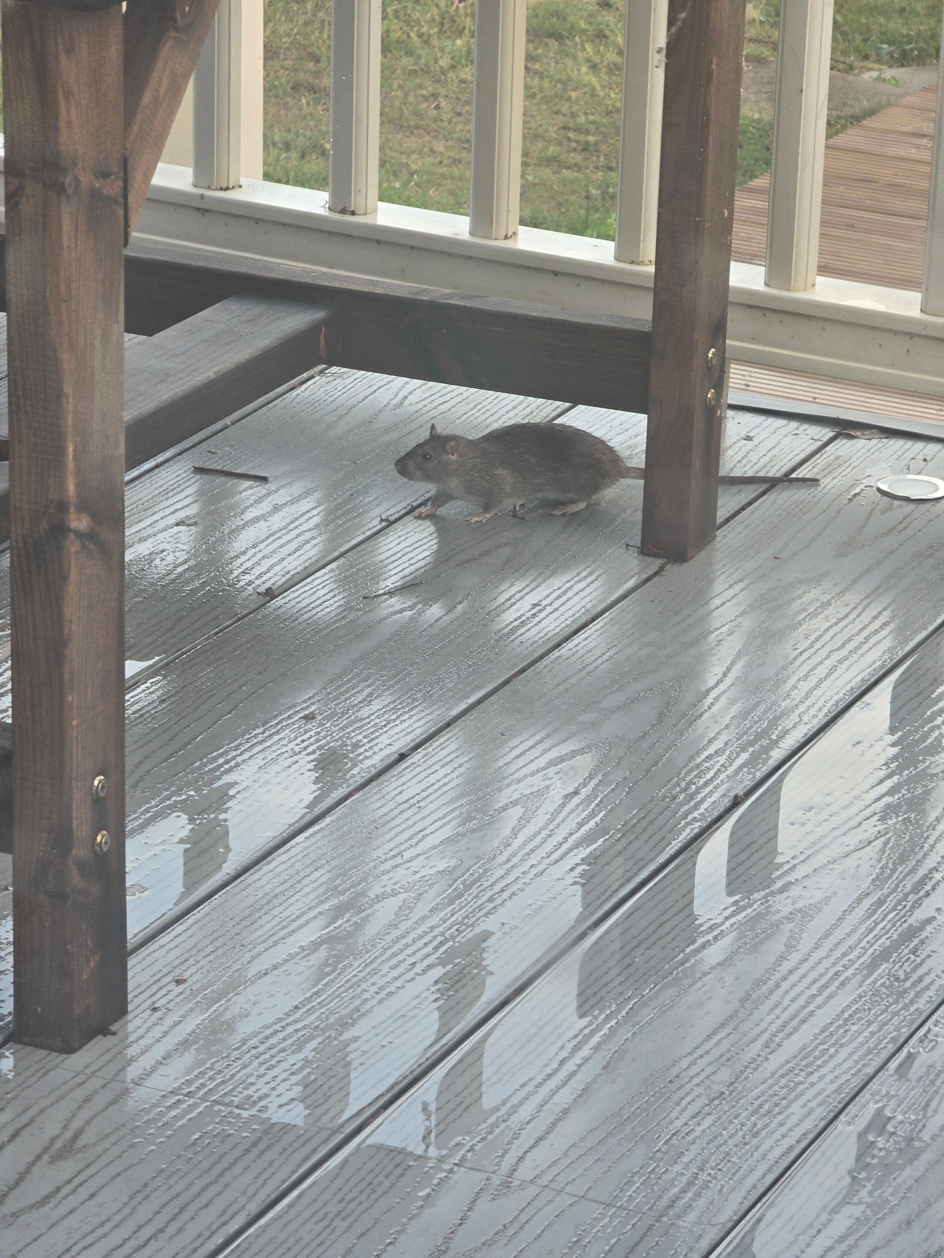 Tattershall Lakes Country Park-客卧