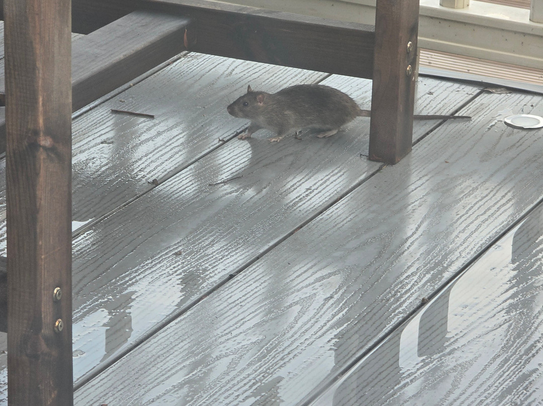 Tattershall Lakes Country Park主图