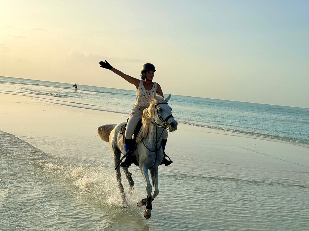 Zanzibar Horse Club-孥归必去景点