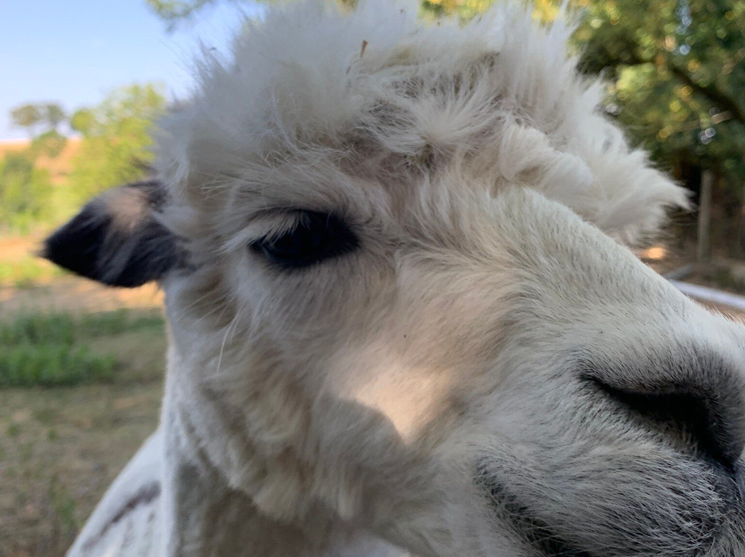 La Ferme Du Col-Jarjayes必去景点