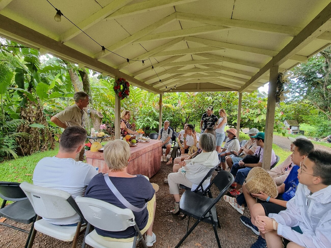 21 Degrees Estate Cacao Farm-卡内奥赫必去景点