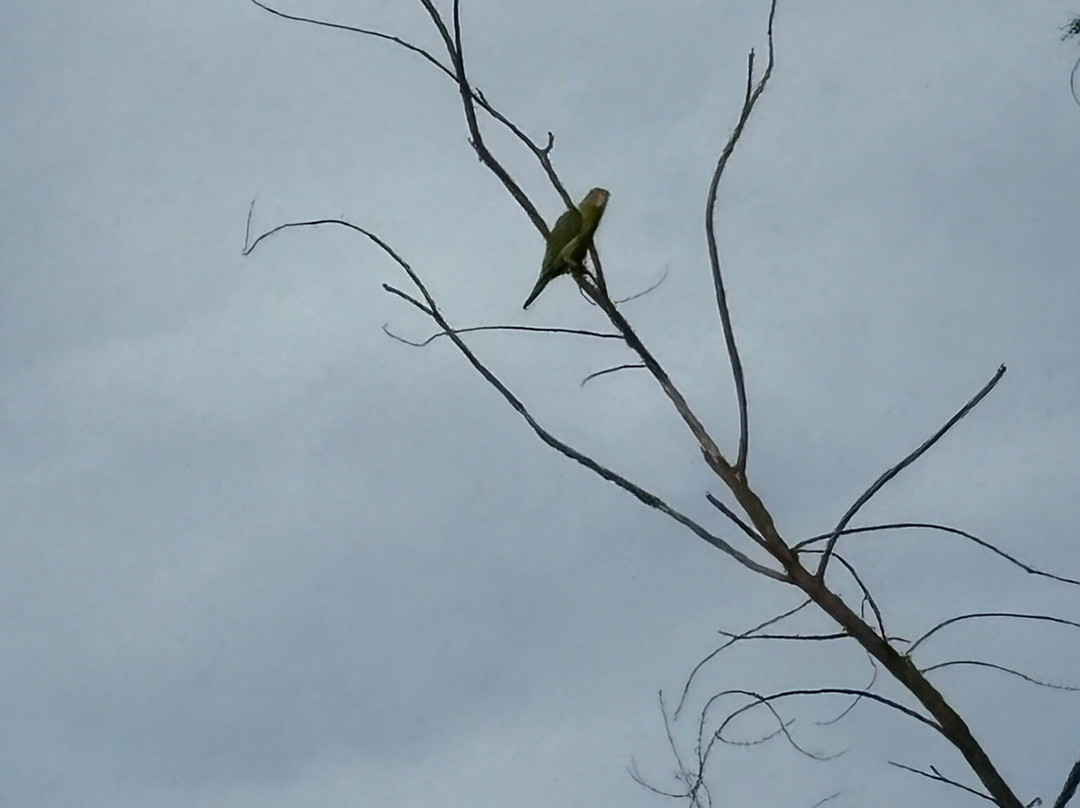 丹绒亚路海滩-亚庇必去景点