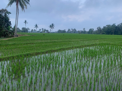 BROMO INDONESIA TRAVEL-庞越必去景点