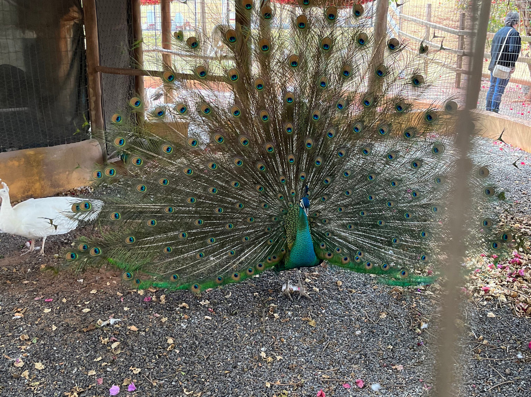 Fazendinha Zoomix-Franca必去景点