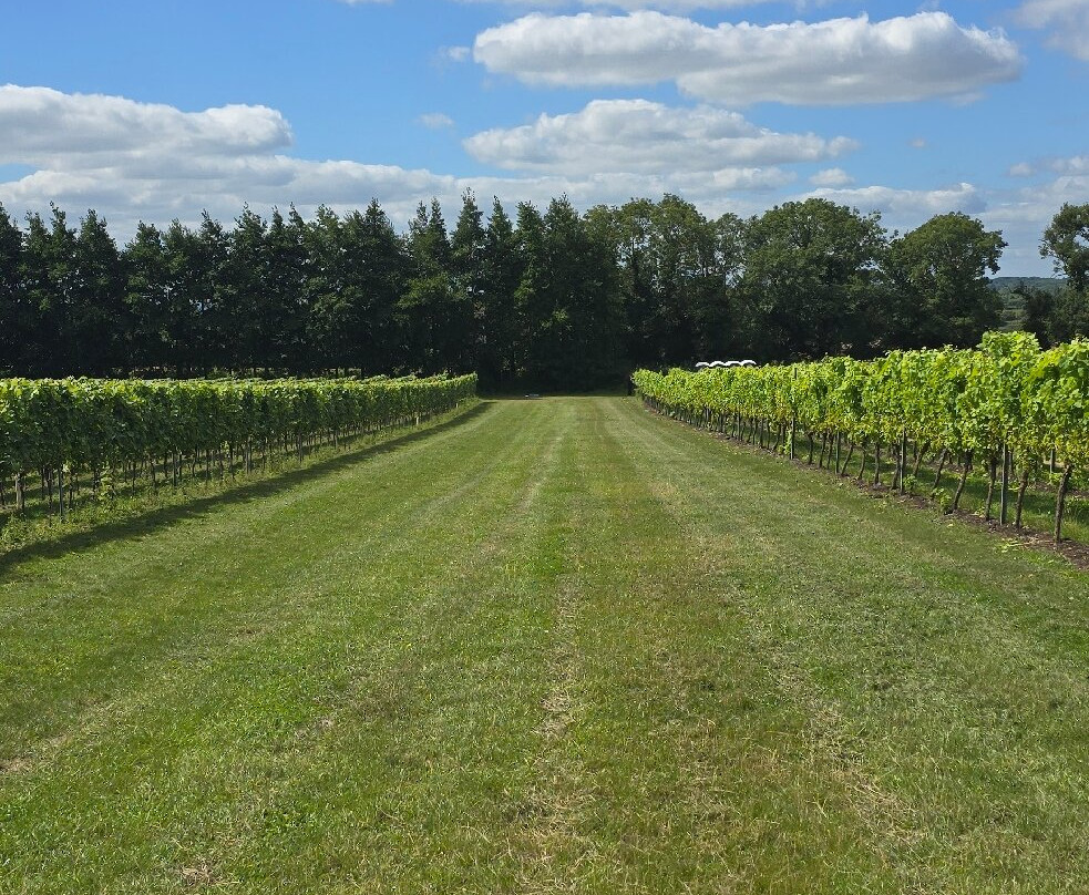 Westwell Wine Estate-Charing必去景点
