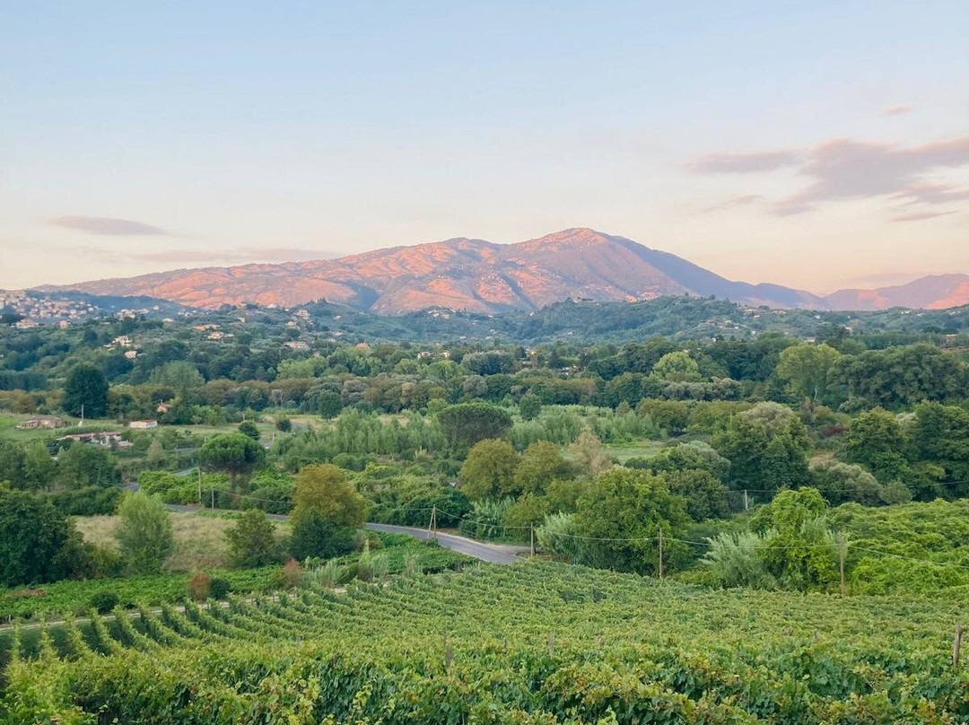 Agriturismo le Cerquette主图