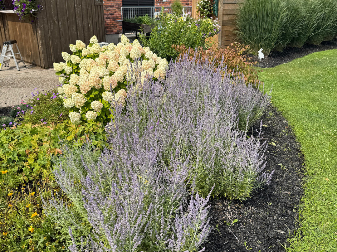 The Hare Wine Co.-滨湖尼亚加拉必去景点