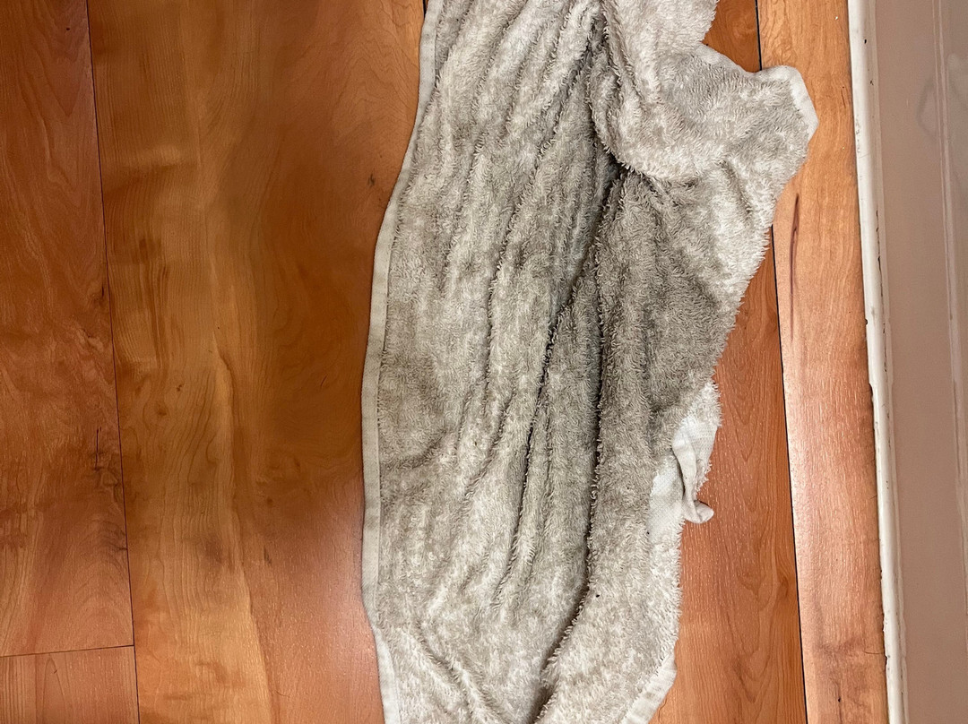 Red Roof Inn Chicago - O'Hare Airport / Arlington Hts主图