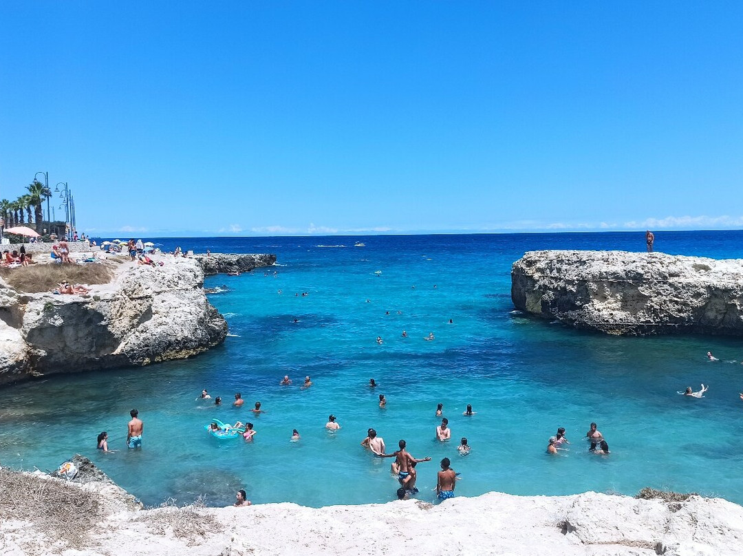 Oasis Park Hotel主图