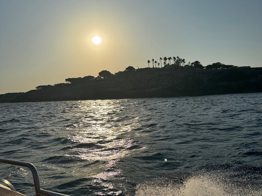 Aloha Vibes-卡拉多尔必去景点