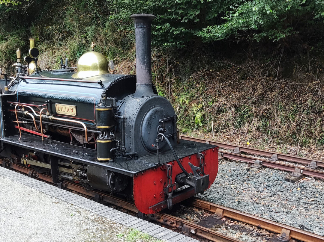 Launceston Steam Railway-朗塞斯顿必去景点
