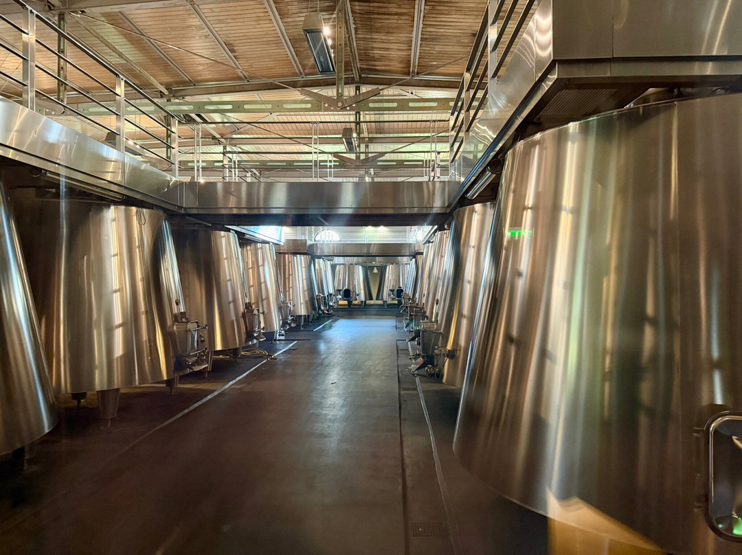 Chateau Cos d'Estournel-Saint-Estephe必去景点