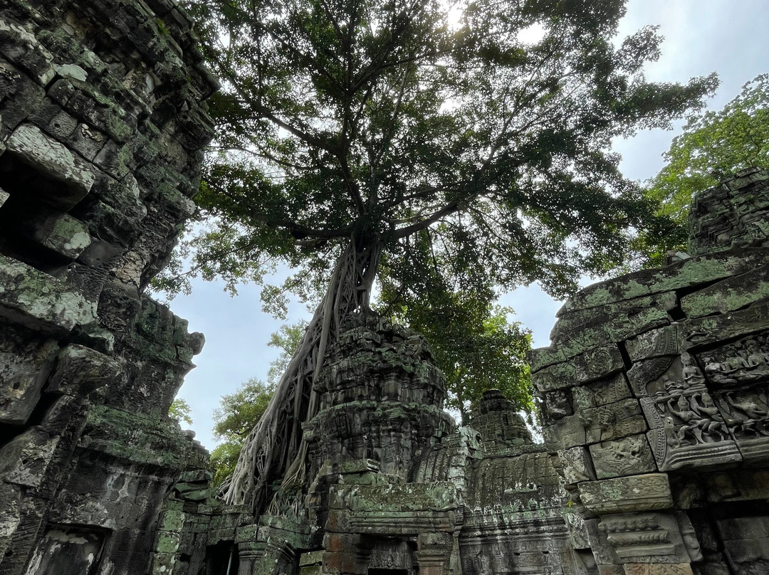 Private Taxi In Siem Reap By Mr Seng-暹粒必去景点