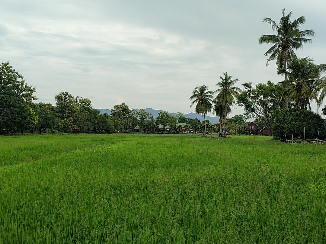 Langkawi Island-珍南海滩必去景点