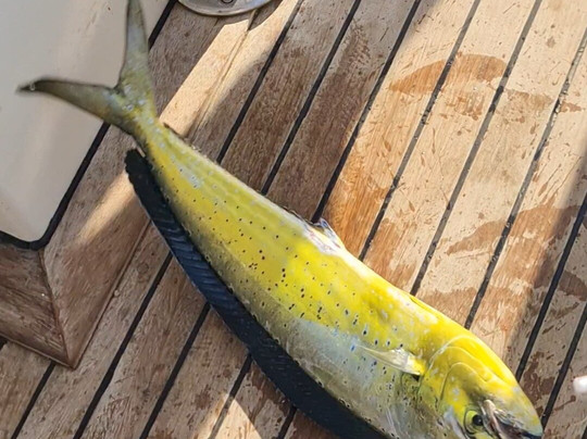 PROFİSHİNGTOURS-卡尔坎必去景点