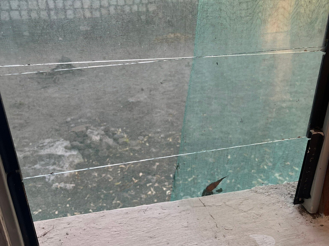 Sur La Plage Chez Cécile主图