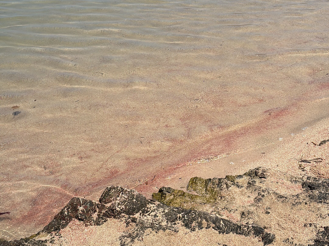 Tiny Beach Pink Sand-Limeniskos必去景点