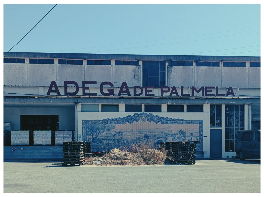 Adega de Palmela-Palmela必去景点