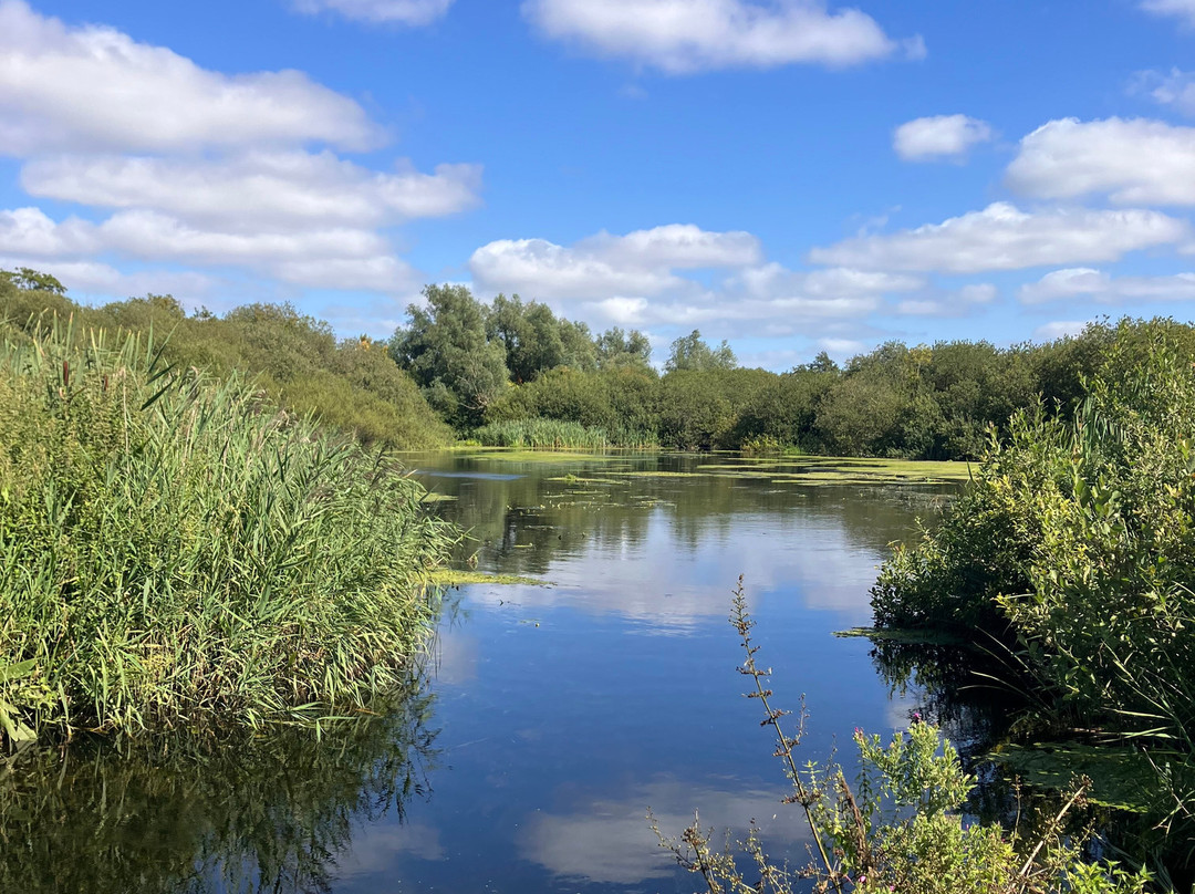Wheatfen Nature Reserve Surlingham-诺威奇必去景点