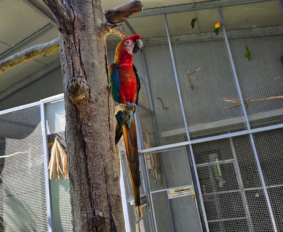 ARA Bird Garden-富禄必去景点