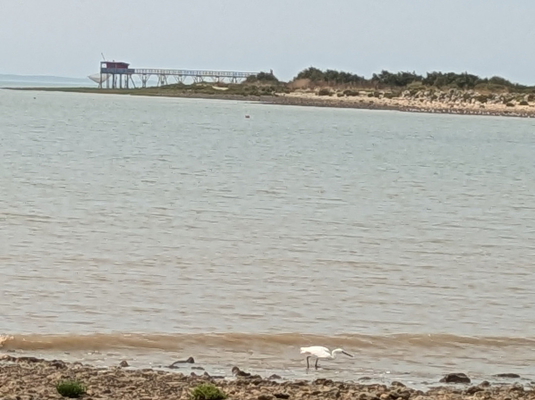Ile Madame-Port-des-Barques必去景点