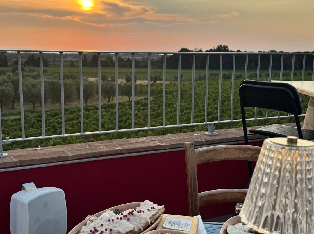 Lq - Le Querce - Wine Tasting-Campiglia Marittima必去景点
