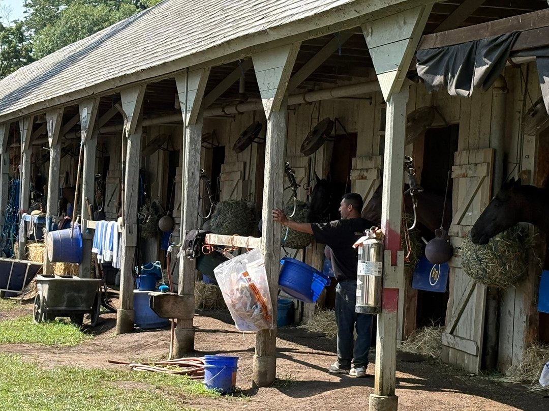 Saratoga Race Course-萨拉托加温泉必去景点