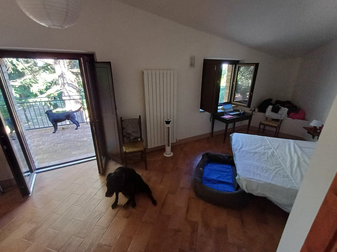 Agriturismo Borgo Spante主图