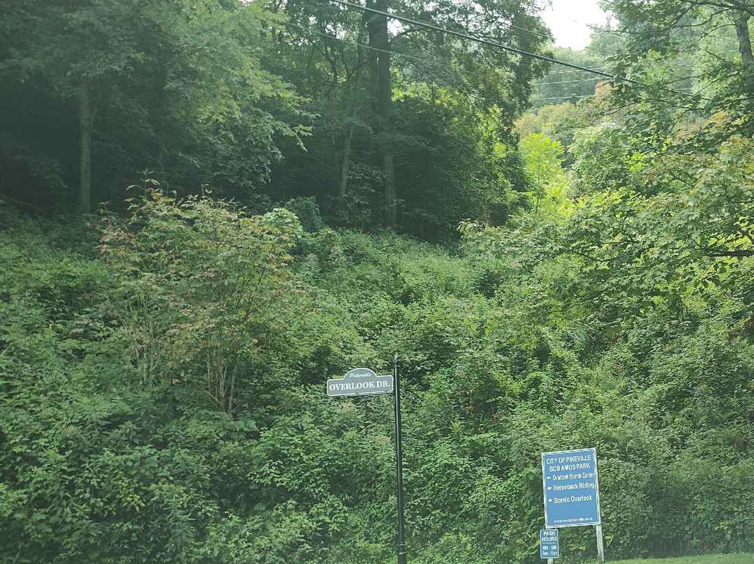 Bob Amos Park-Pikeville必去景点