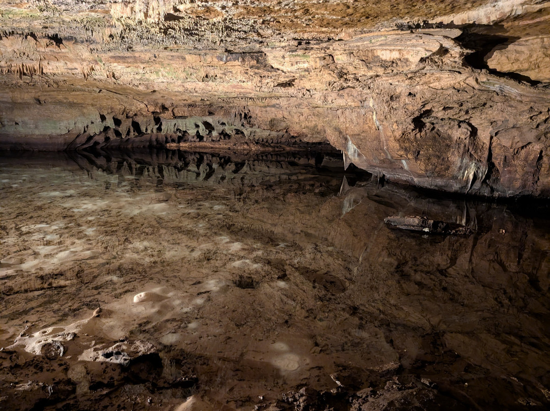 Grottes d'Arcy-sur-Cure-Arcy-sur-Cure必去景点