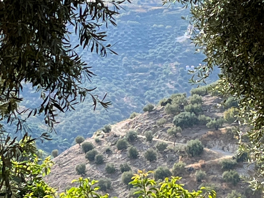 Finca Floretta主图