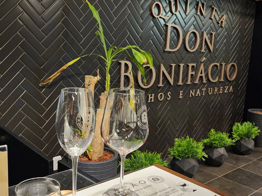 Vinicola Quinta Don Bonifacio-南卡希亚斯必去景点