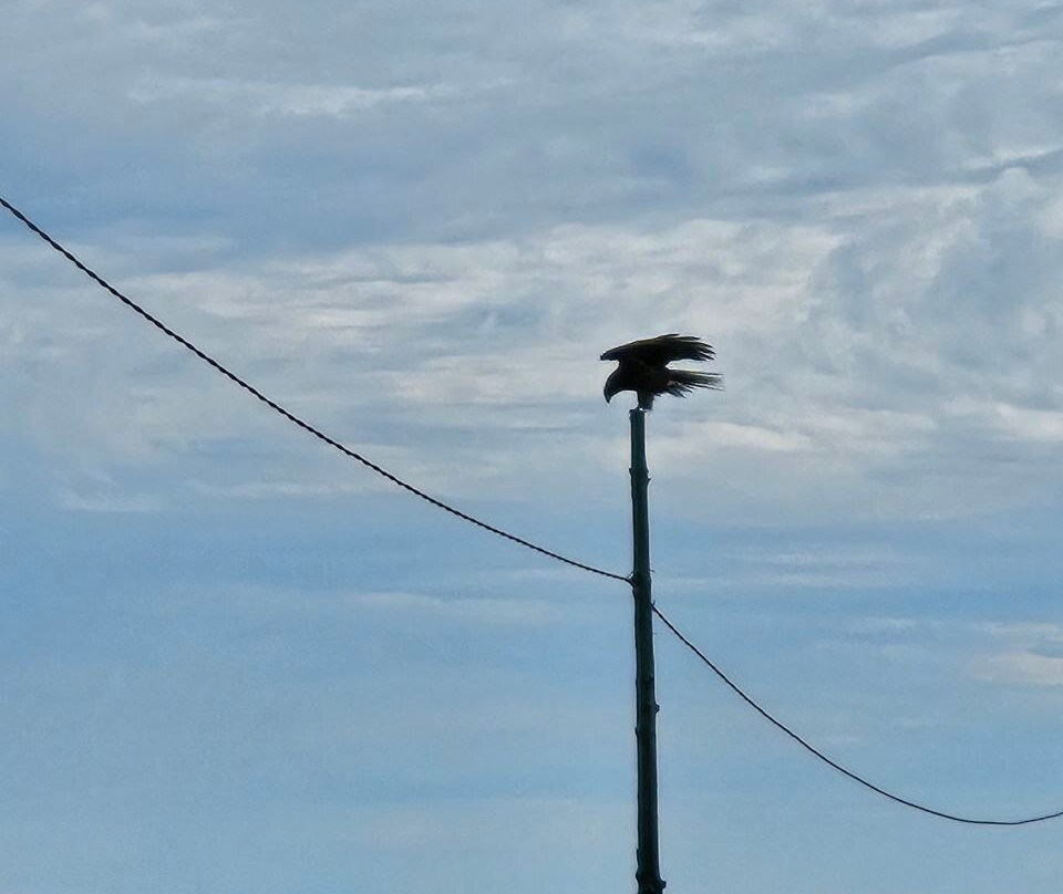 Lake Tus-Iyus必去景点