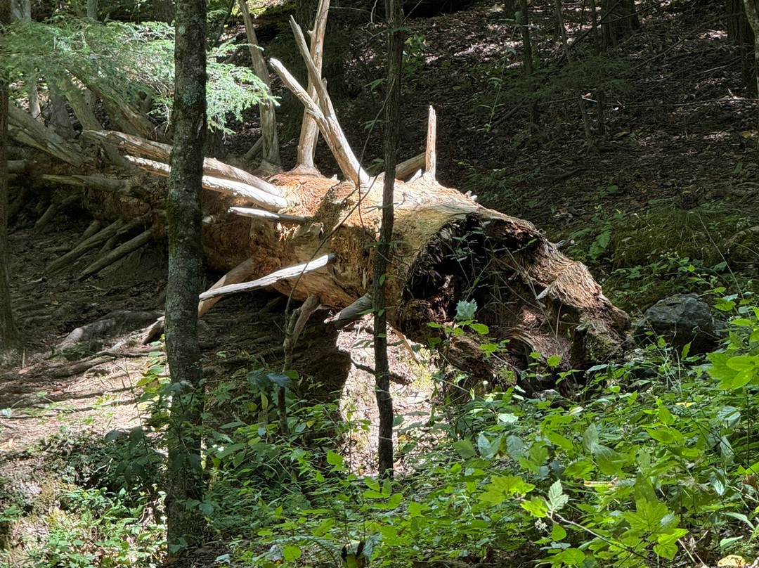 Burgess Falls State Park-Sparta必去景点