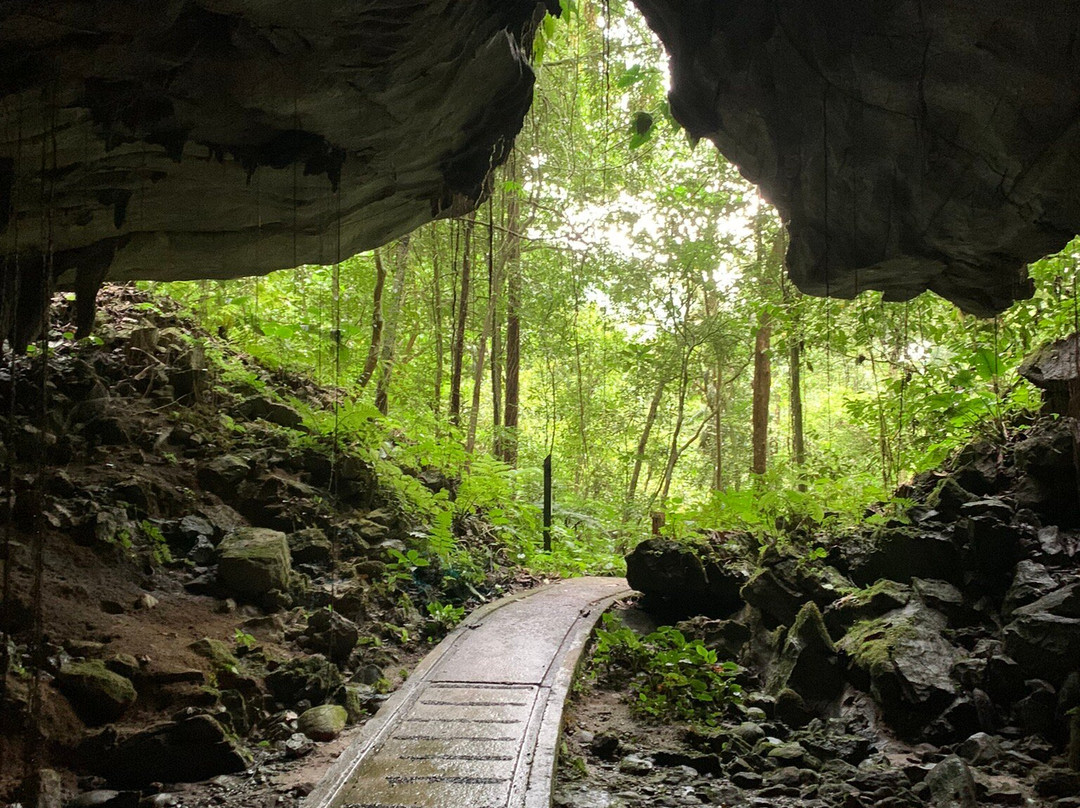 Mulu Caves-美里必去景点