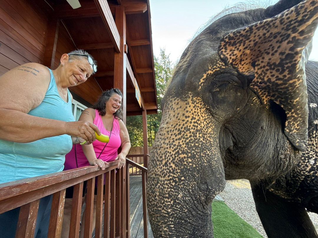 The Endangered Ark Foundation-Hugo必去景点