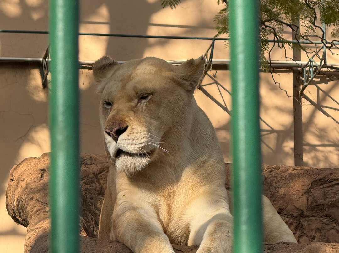 Hartbeespoort Dam - Snake and Animal Park-哈特比斯普特必去景点